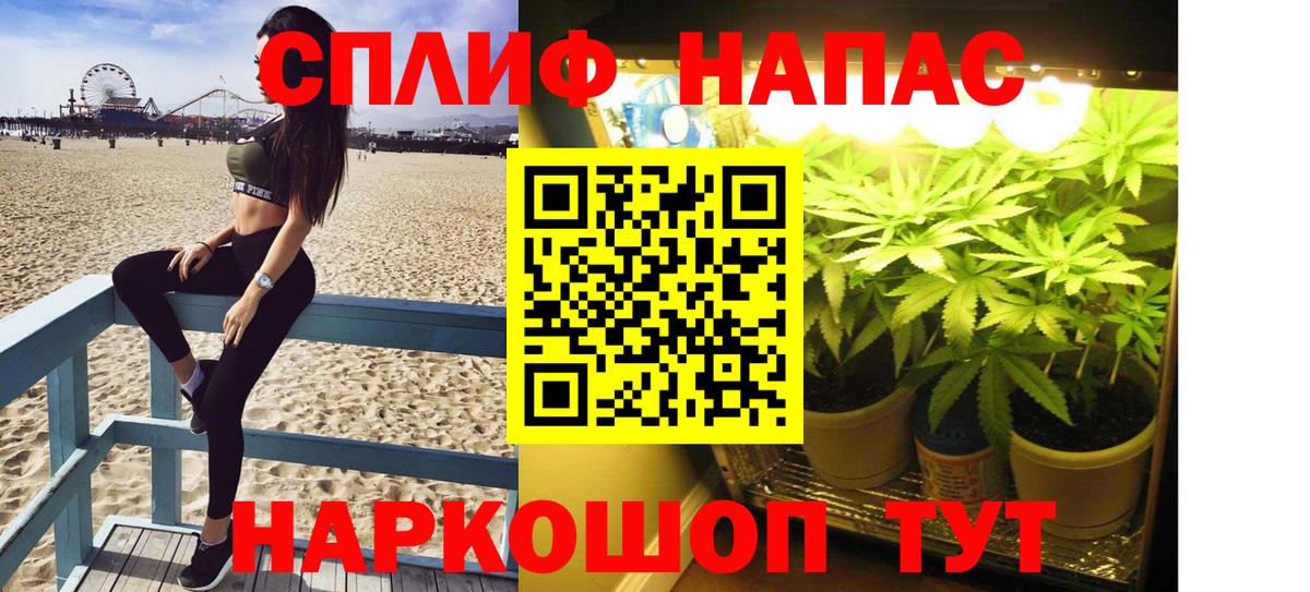 Каннабис сатива  Каннабис Ganja  Вход с VPN  Сызрань  Бошки марихуана сатива 